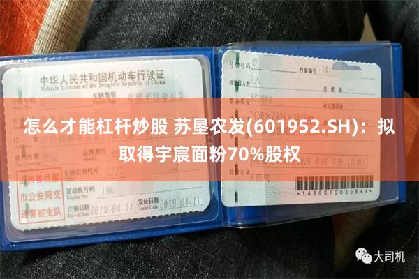 怎么才能杠杆炒股 苏垦农发(601952.SH)：拟取得宇宸面粉70%股权