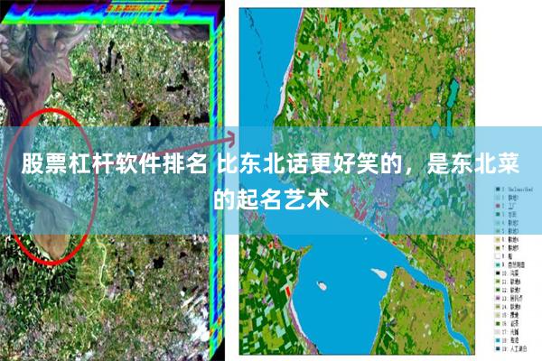 股票杠杆软件排名 比东北话更好笑的，是东北菜的起名艺术