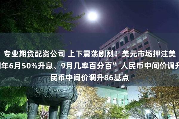 专业期货配资公司 上下震荡剧烈！美元市场押注美联储“明年6月50%升息、9月几率百分百” 人民币中间价调升86基点