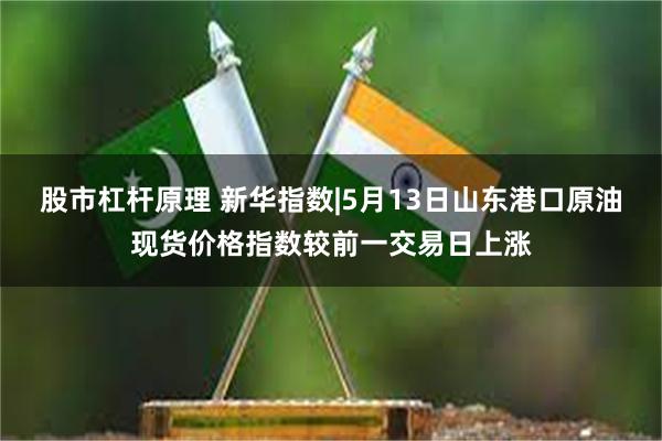 股市杠杆原理 新华指数|5月13日山东港口原油现货价格指数较前一交易日上涨