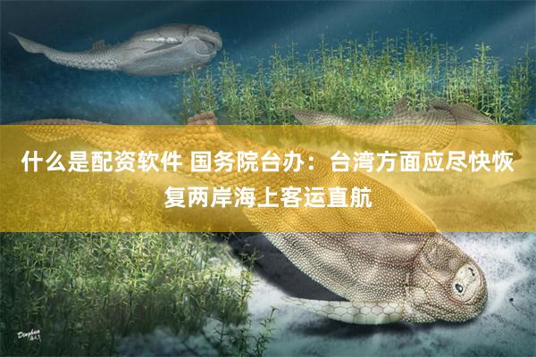 什么是配资软件 国务院台办：台湾方面应尽快恢复两岸海上客运直航