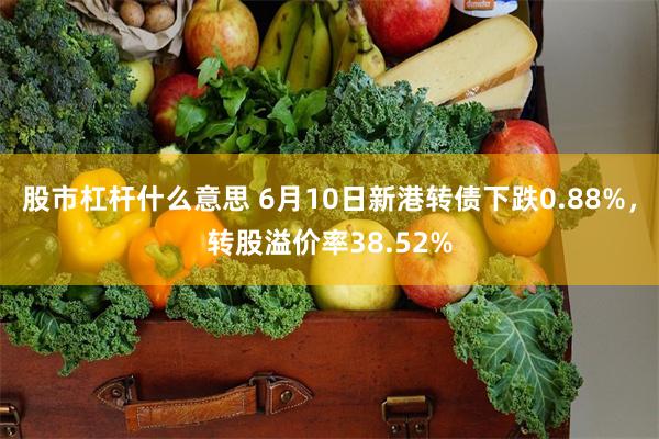 股市杠杆什么意思 6月10日新港转债下跌0.88%，转股溢价率38.52%