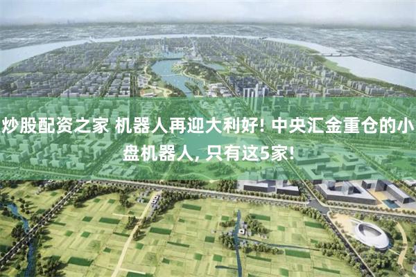 炒股配资之家 机器人再迎大利好! 中央汇金重仓的小盘机器人, 只有这5家!