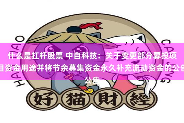 什么是扛杆股票 中自科技：关于变更部分募投项目资金用途并将节余募集资金永久补充流动资金的公告