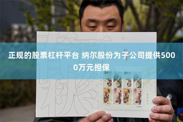 正规的股票杠杆平台 纳尔股份为子公司提供5000万元担保