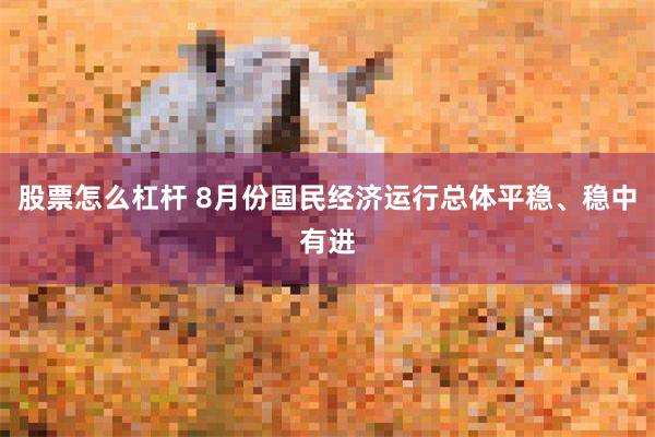 股票怎么杠杆 8月份国民经济运行总体平稳、稳中有进