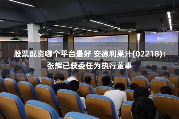 股票配资哪个平台最好 安德利果汁(02218)：张辉已获委任为执行董事