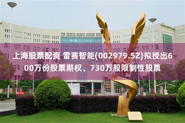 上海股票配资 雷赛智能(002979.SZ)拟授出600万份股票期权、730万股限制性股票