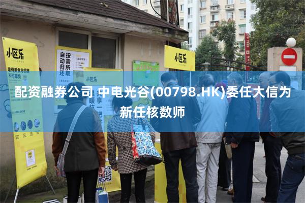 配资融券公司 中电光谷(00798.HK)委任大信为新任核数师
