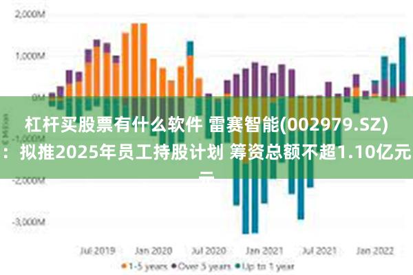 杠杆买股票有什么软件 雷赛智能(002979.SZ)：拟推2025年员工持股计划 筹资总额不超1.10亿元