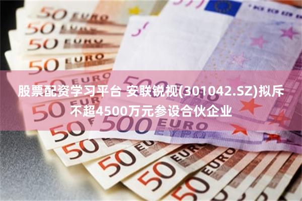 股票配资学习平台 安联锐视(301042.SZ)拟斥不超4500万元参设合伙企业