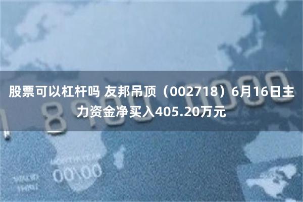 股票可以杠杆吗 友邦吊顶（002718）6月16日主力资金净买入405.20万元