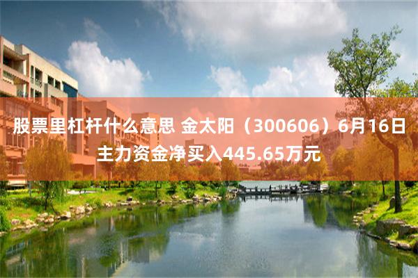 股票里杠杆什么意思 金太阳（300606）6月16日主力资金净买入445.65万元
