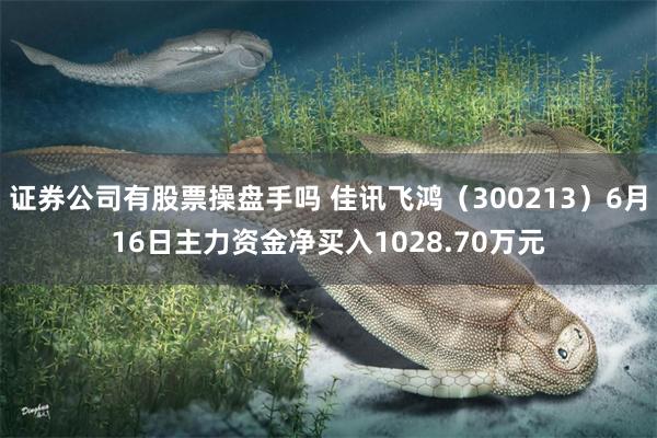 证券公司有股票操盘手吗 佳讯飞鸿（300213）6月16日主力资金净买入1028.70万元