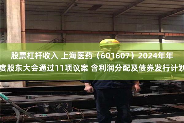 股票杠杆收入 上海医药（601607）2024年年度股东大会通过11项议案 含利润分配及债券发行计划