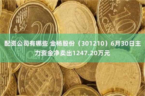 配资公司有哪些 金杨股份（301210）6月30日主力资金净卖出1247.20万元