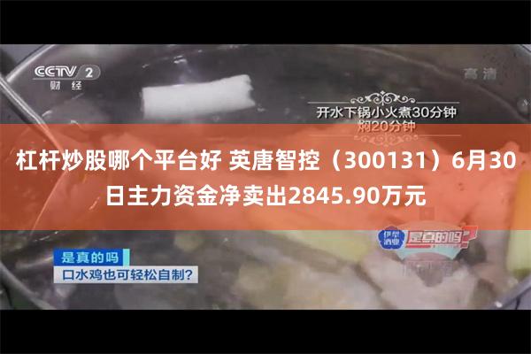 杠杆炒股哪个平台好 英唐智控(300131)6月30日主力资金净卖出2845.90万元