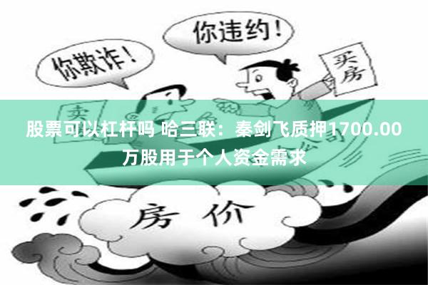 股票可以杠杆吗 哈三联：秦剑飞质押1700.00万股用于个人资金需求
