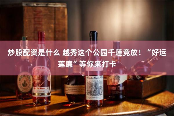 炒股配资是什么 越秀这个公园千莲竞放！“好运莲廉”等你来打卡