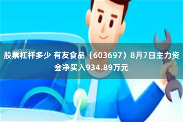 股票杠杆多少 有友食品（603697）8月7日主力资金净买入934.89万元