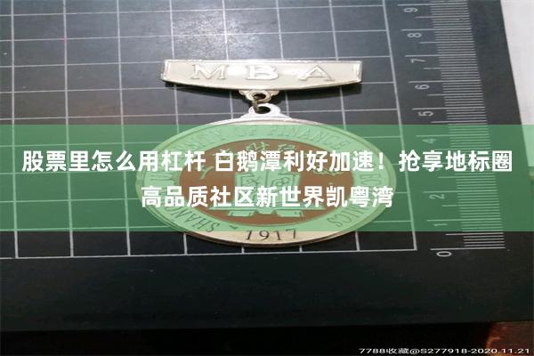 股票里怎么用杠杆 白鹅潭利好加速!抢享地标圈高品质社区新世界凯粤湾