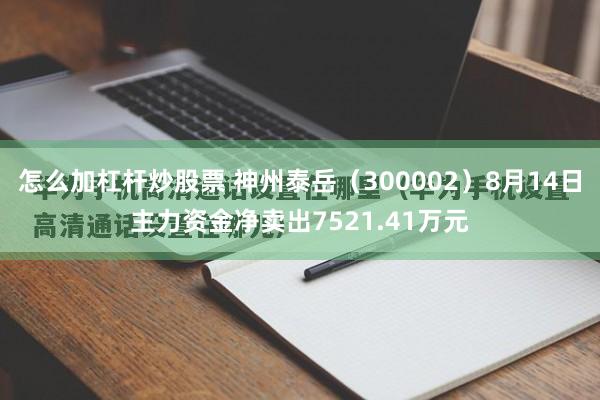 怎么加杠杆炒股票 神州泰岳（300002）8月14日主力资金净卖出7521.41万元