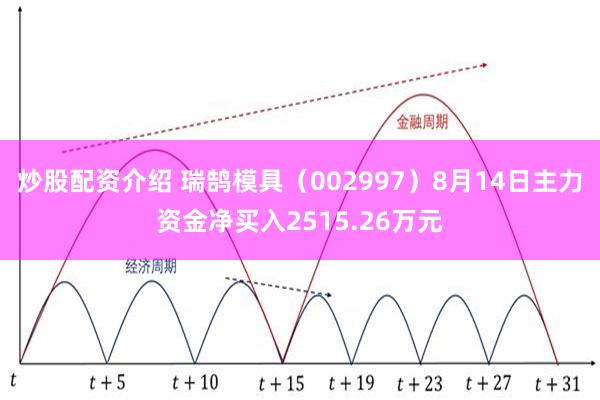 炒股配资介绍 瑞鹄模具（002997）8月14日主力资金净买入2515.26万元
