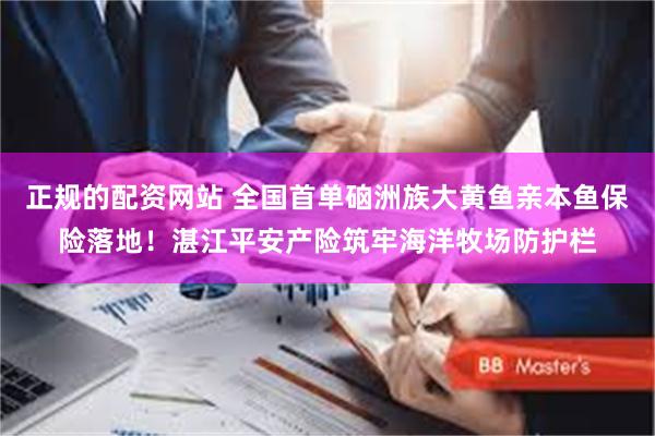 正规的配资网站 全国首单硇洲族大黄鱼亲本鱼保险落地！湛江平安产险筑牢海洋牧场防护栏