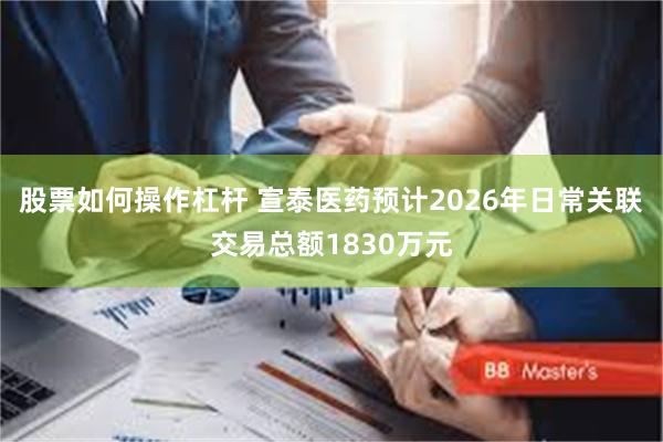 股票如何操作杠杆 宣泰医药预计2026年日常关联交易总额1830万元