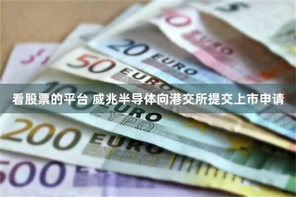 看股票的平台 威兆半导体向港交所提交上市申请