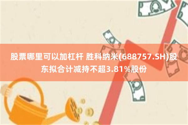 股票哪里可以加杠杆 胜科纳米(688757.SH)股东拟合计减持不超3.81%股份