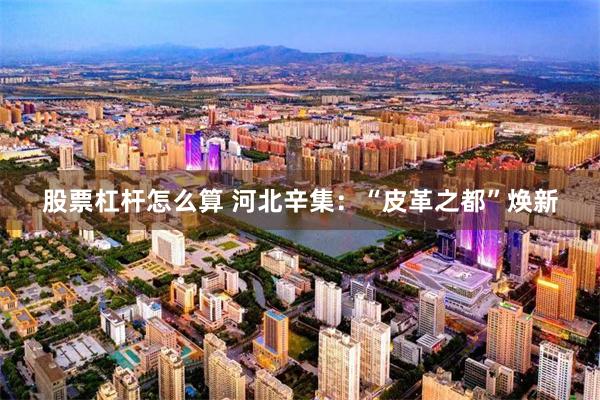 股票杠杆怎么算 河北辛集：“皮革之都”焕新