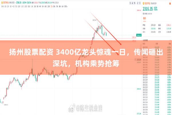 扬州股票配资 3400亿龙头惊魂一日，传闻砸出深坑，机构乘势抢筹