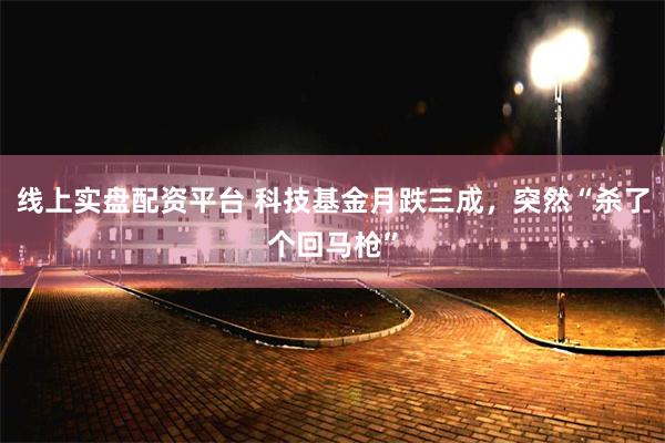 线上实盘配资平台 科技基金月跌三成，突然“杀了个回马枪”