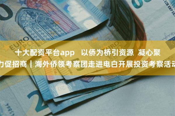 十大配资平台app 以侨为桥引资源 凝心聚力促招商|海外侨领考察团走进电白开展投资考察活动