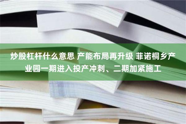 炒股杠杆什么意思 产能布局再升级 菲诺桐乡产业园一期进入投产冲刺、二期加紧施工