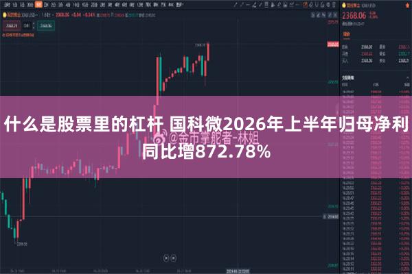 什么是股票里的杠杆 国科微2026年上半年归母净利同比增872.78%