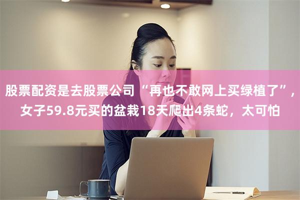 股票配资是去股票公司 “再也不敢网上买绿植了”,女子59.8元买的盆栽18天爬出4条蛇,太可怕