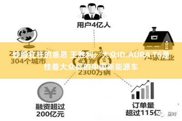 炒股杠杆的意思 王胜利：大众ID.AURA T6是挂着大众标的中国新能源车