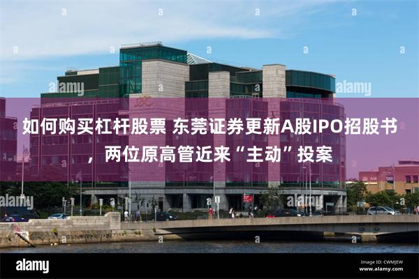 如何购买杠杆股票 东莞证券更新A股IPO招股书，两位原高管近来“主动”投案