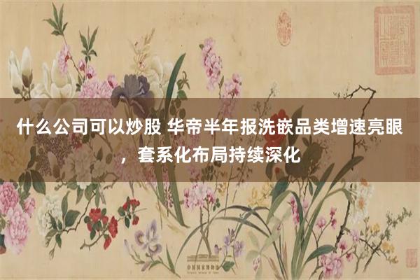 什么公司可以炒股 华帝半年报洗嵌品类增速亮眼，套系化布局持续深化