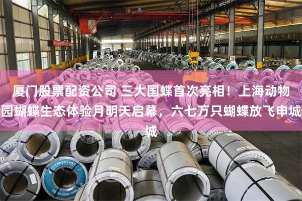 厦门股票配资公司 三大国蝶首次亮相！上海动物园蝴蝶生态体验月明天启幕，六七万只蝴蝶放飞申城