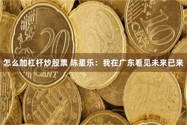 怎么加杠杆炒股票 陈星乐：我在广东看见未来已来