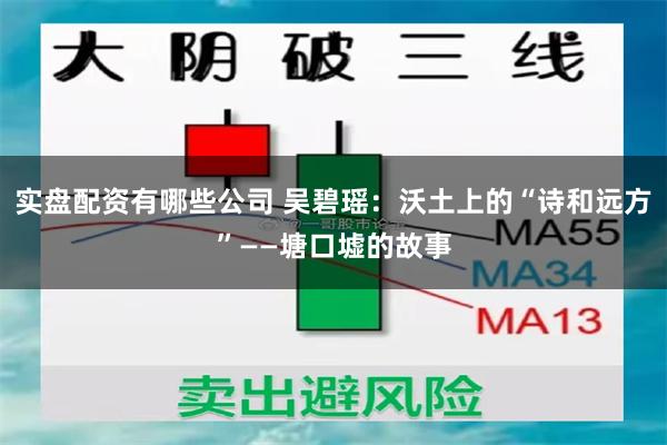 实盘配资有哪些公司 吴碧瑶：沃土上的“诗和远方”——塘口墟的故事