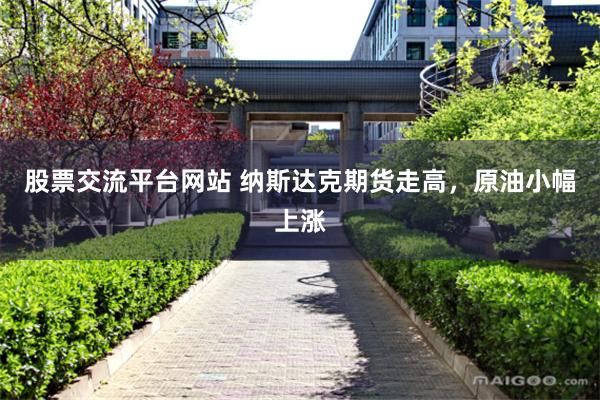 股票交流平台网站 纳斯达克期货走高，原油小幅上涨