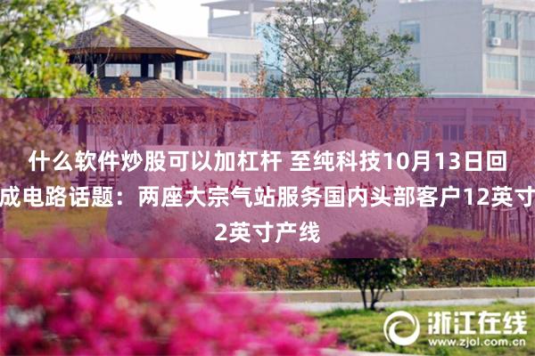 什么软件炒股可以加杠杆 至纯科技10月13日回应集成电路话题：两座大宗气站服务国内头部客户12英寸产线