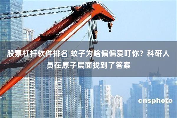 股票杠杆软件排名 蚊子为啥偏偏爱叮你？科研人员在原子层面找到了答案